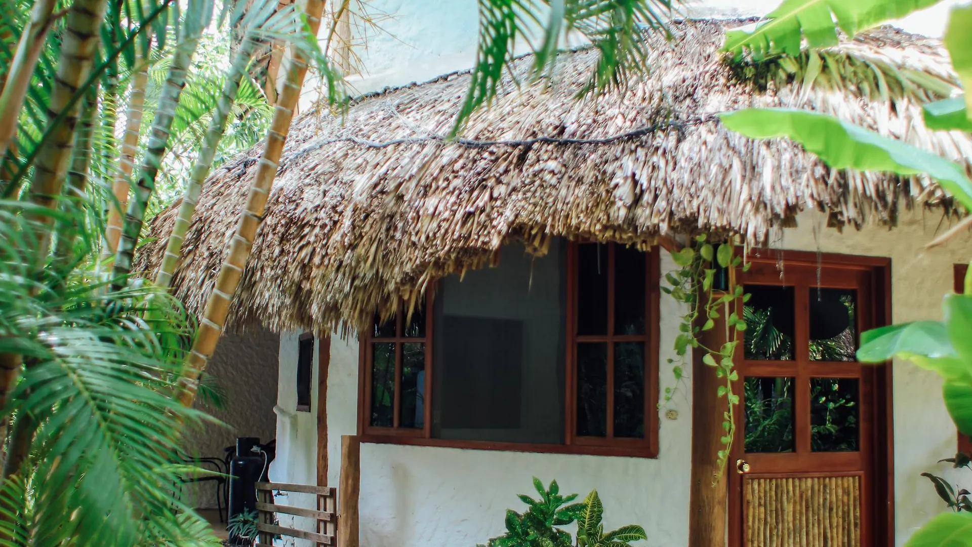 Hotel Casa Barbara Holbox