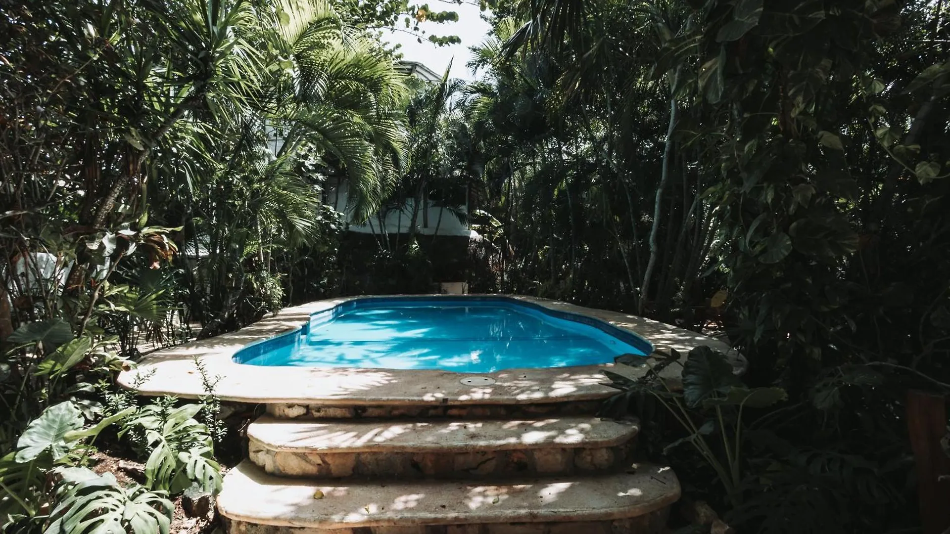 Hotel Casa Barbara Holbox