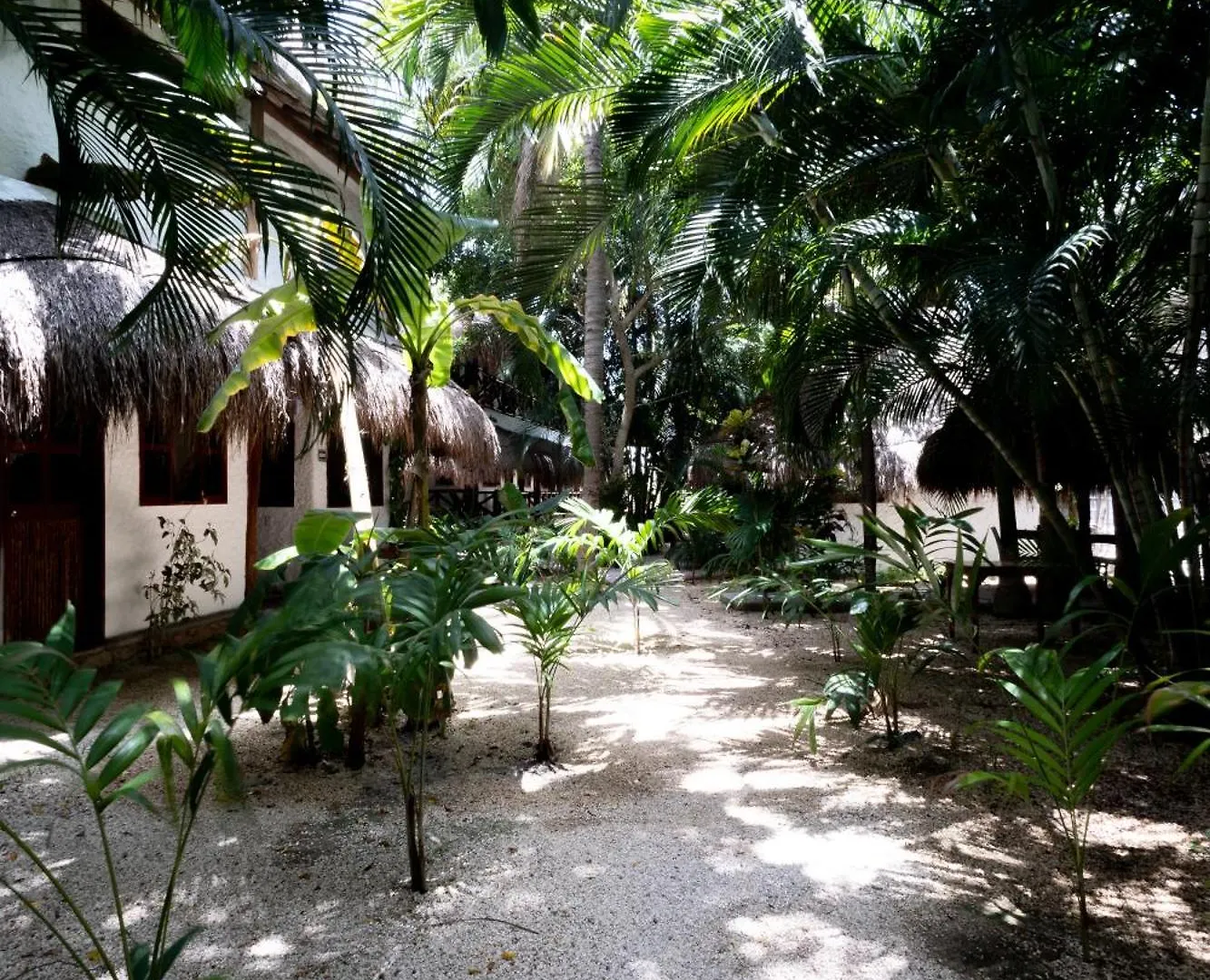 Hotel Casa Barbara Holbox