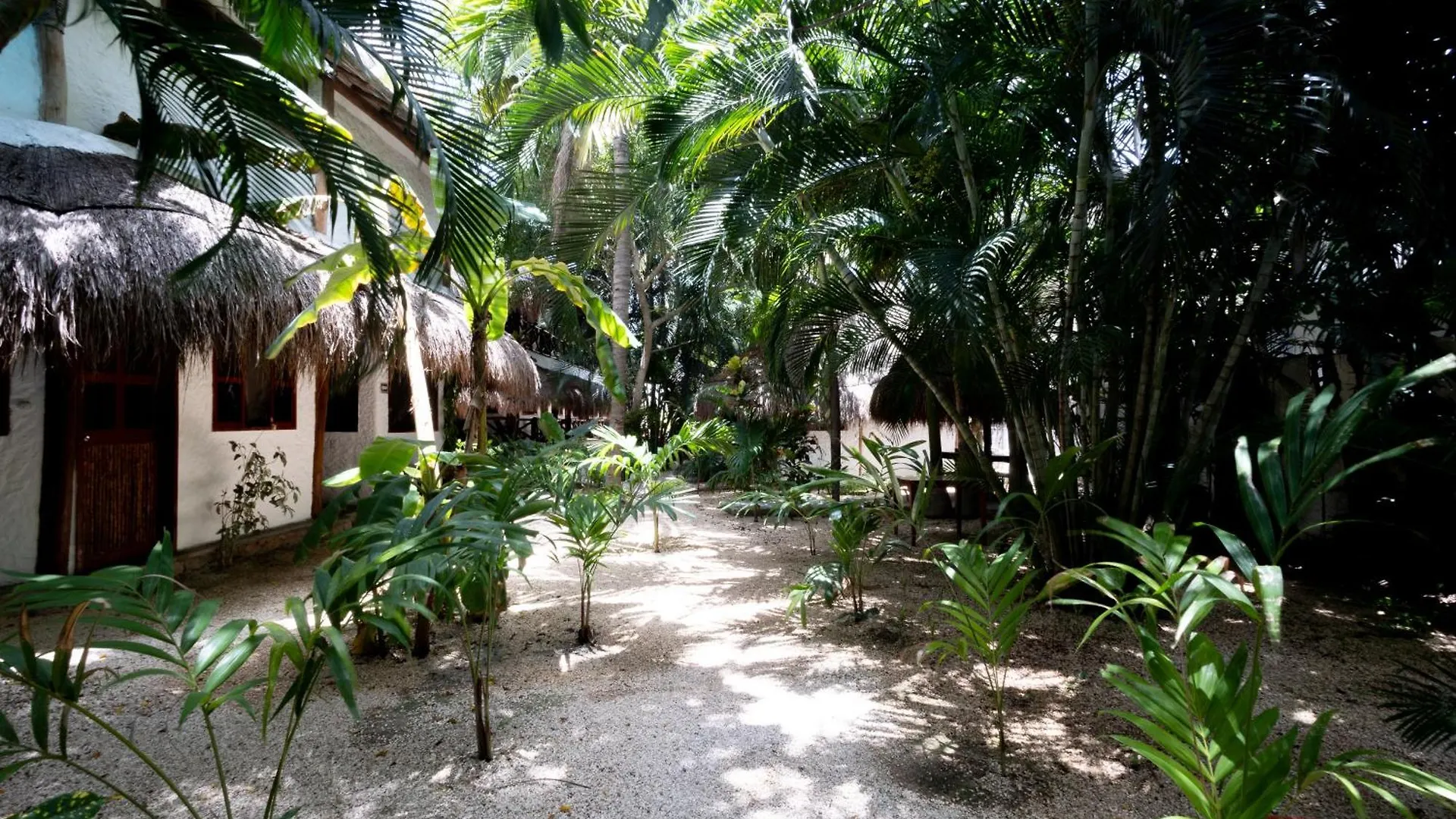Hotel Casa Barbara Holbox 3*, Isla Holbox Mexico