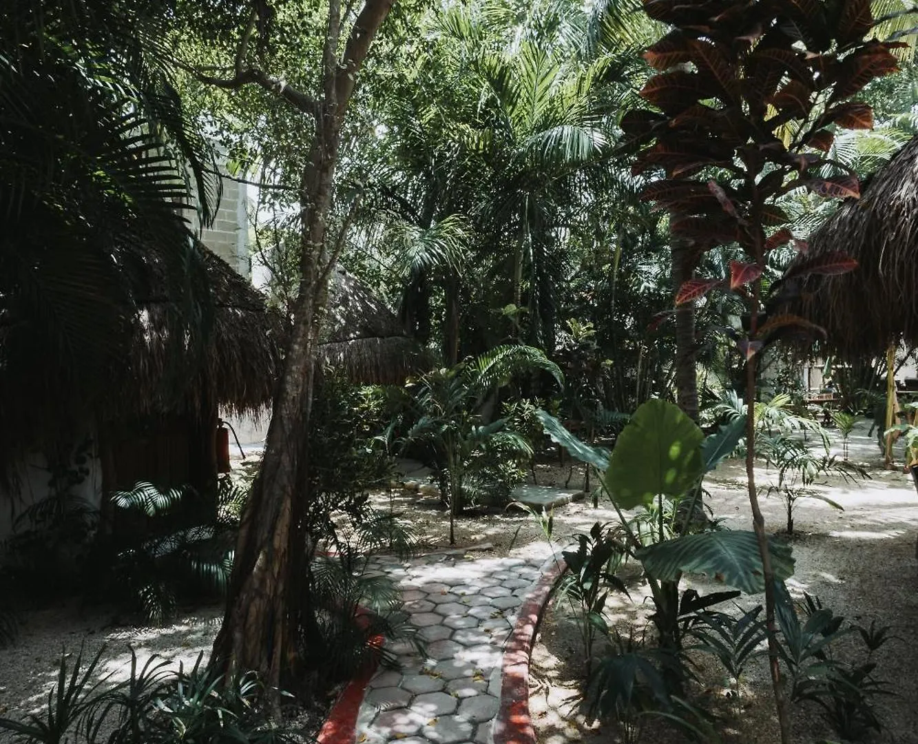 Hotel Casa Barbara Holbox