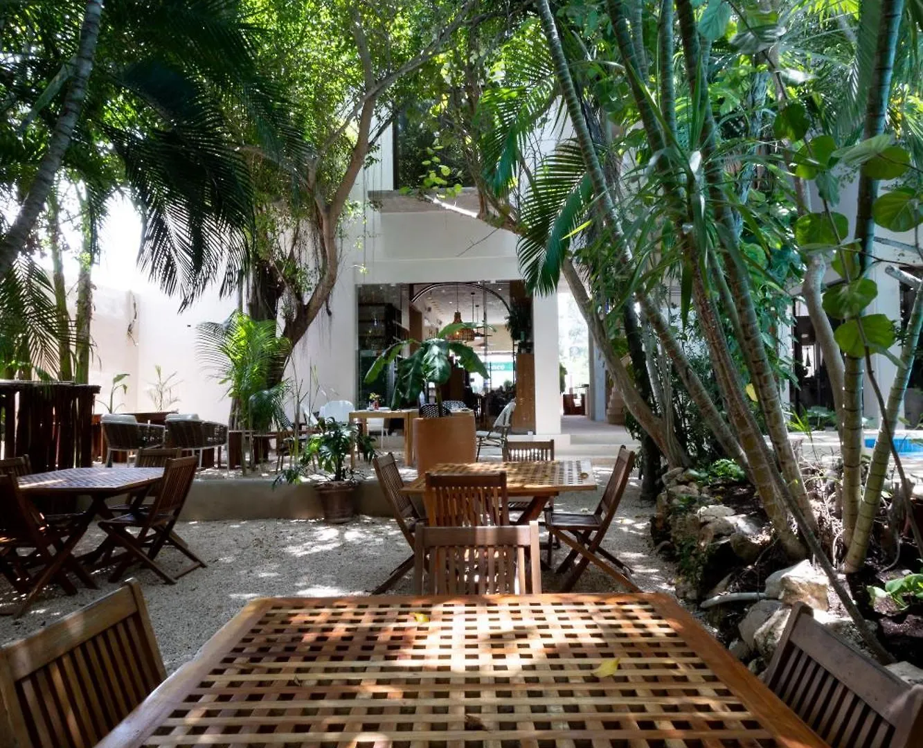 Hotel Casa Barbara Holbox Mexico