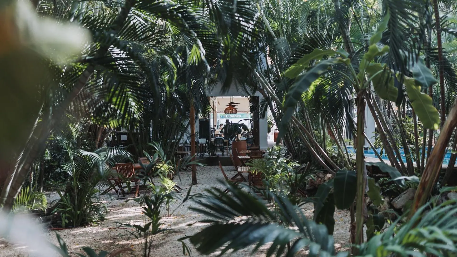Hotel Casa Barbara Holbox Isla Holbox